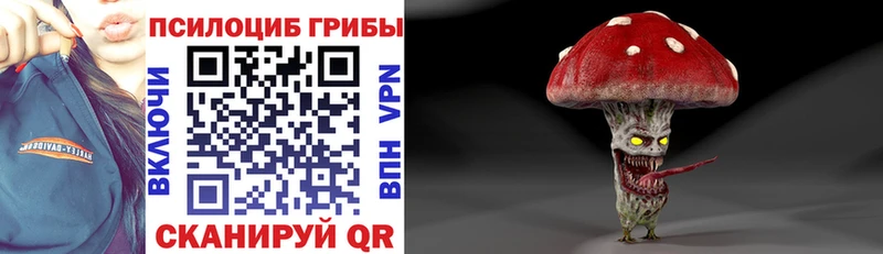 Купить где  Горно-Алтайск  Галлюциногенные грибы прущие грибы 
